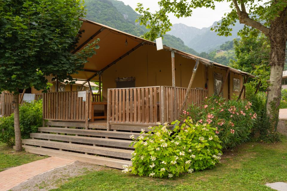 Safari Tent Offer